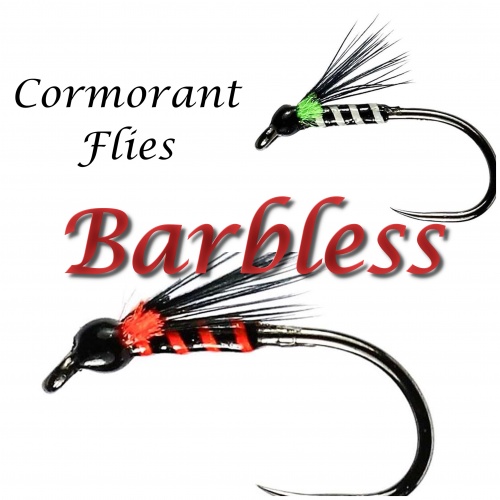 Barbless Cormorants